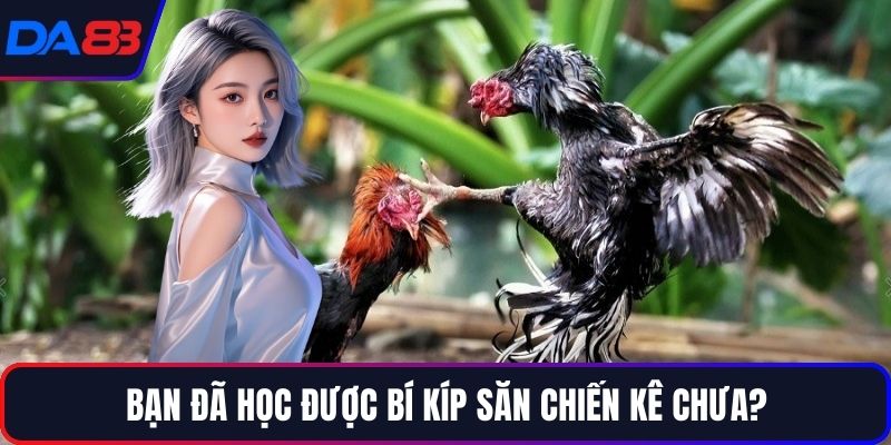Bạn đã học được bí kíp săn chiến kê chưa?