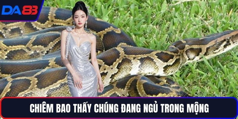 Chiêm bao thấy chúng đang ngủ trong mộng