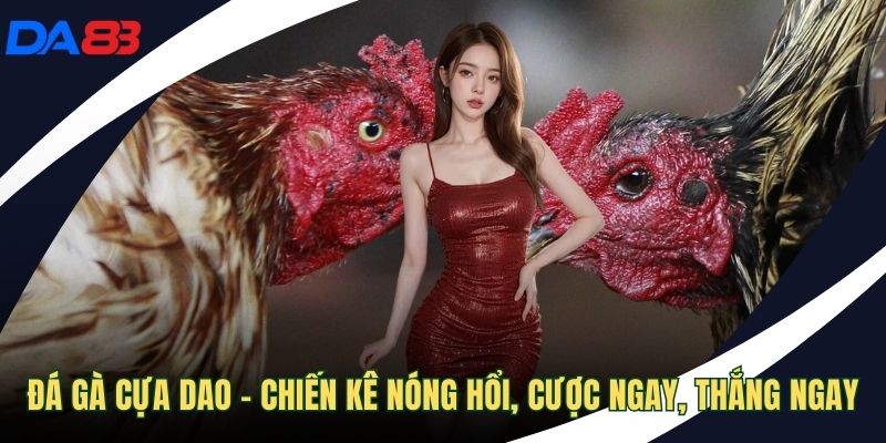 Đá Gà Cựa Dao
