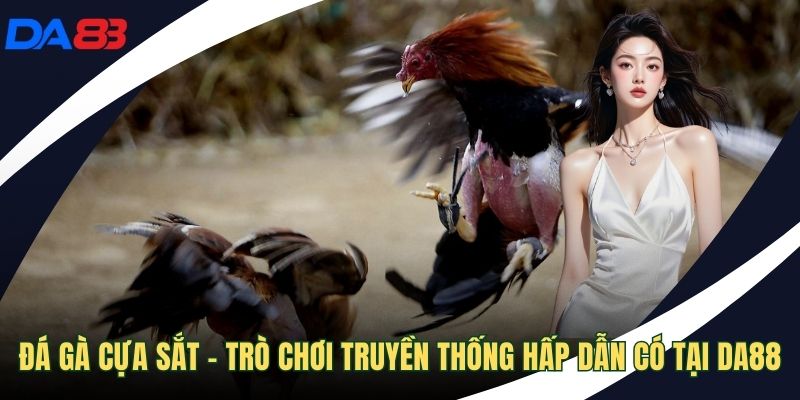 đá gà cựa sắt