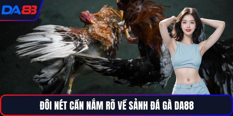 Đôi nét cần nắm rõ về sảnh đá gà DA88