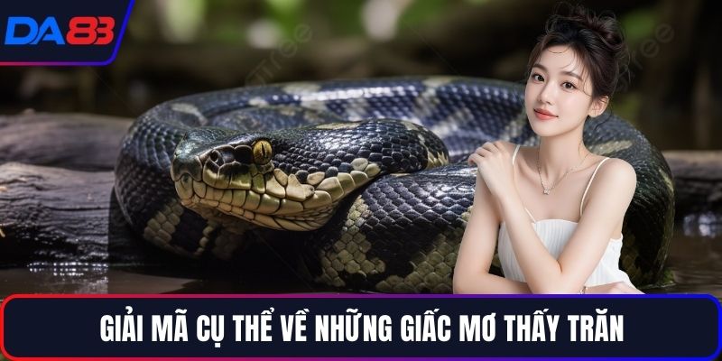 Giải mã cụ thể về những giấc mơ thấy trăn