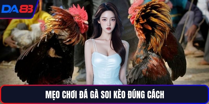 Mẹo chơi đá gà soi kèo đúng cách