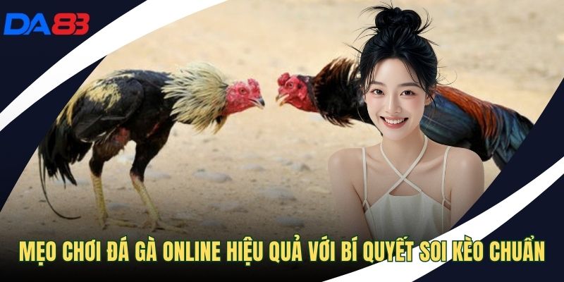 Mẹo chơi đá gà