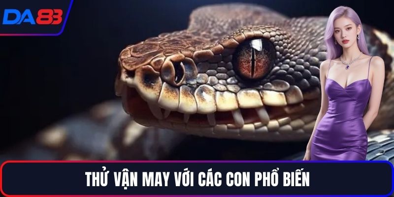 Thử vận may với các con phổ biến