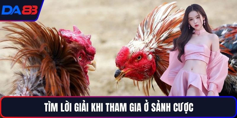 Tìm lời giải khi tham gia ở sảnh cược