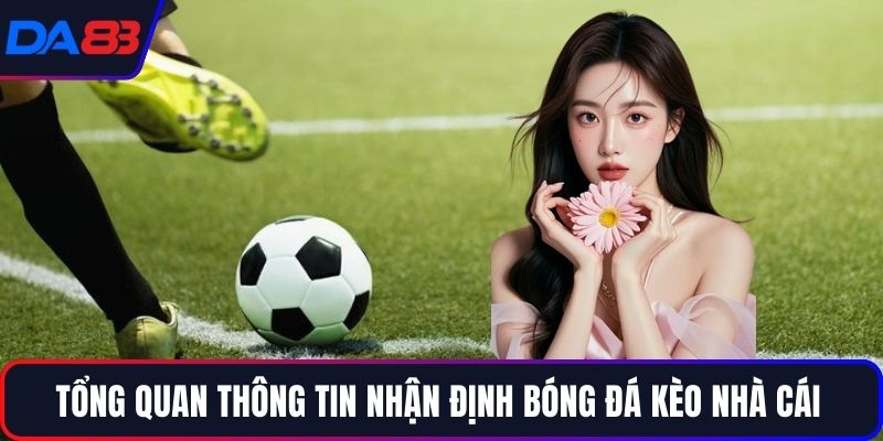 Tổng quan thông tin nhận định bóng đá kèo nhà cái 
