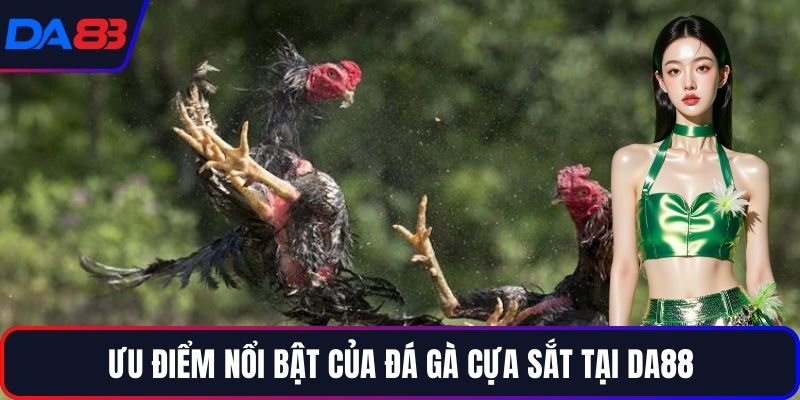 Ưu điểm nổi bật của đá gà cựa sắt tại DA88