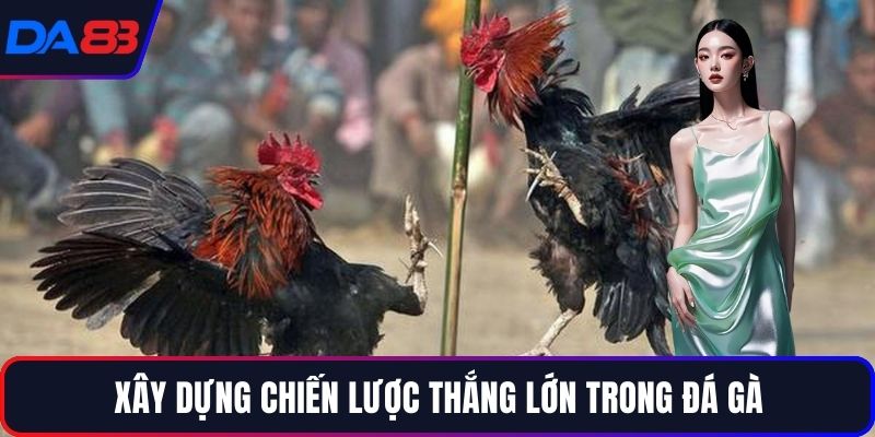 Xây dựng chiến lược thắng lớn trong đá gà